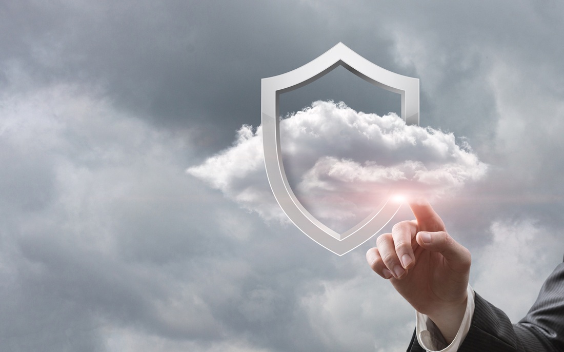 Concept of protection cloud computing