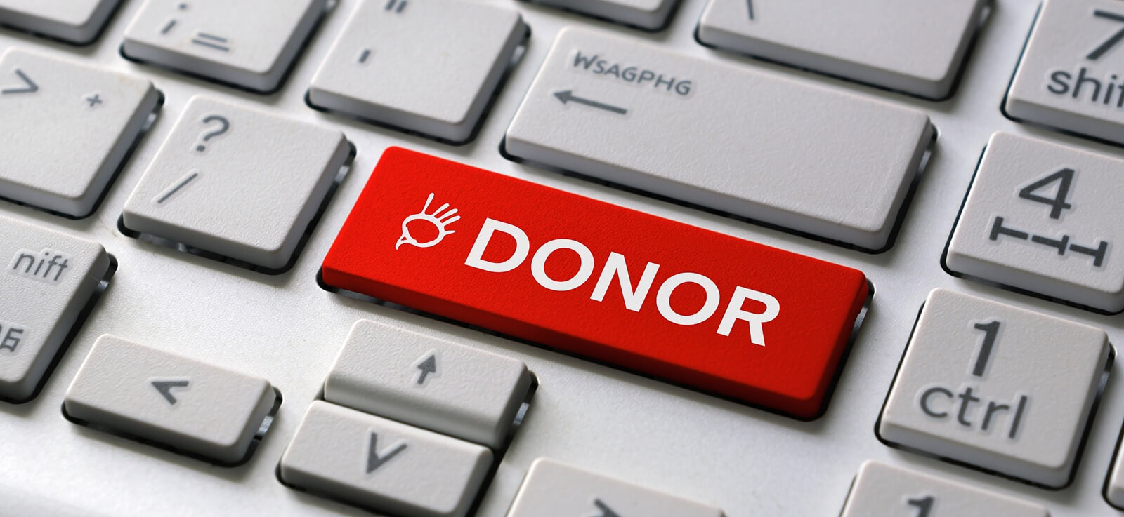 red button labeled DONOR with a hand icon is centered on a computer keyboard